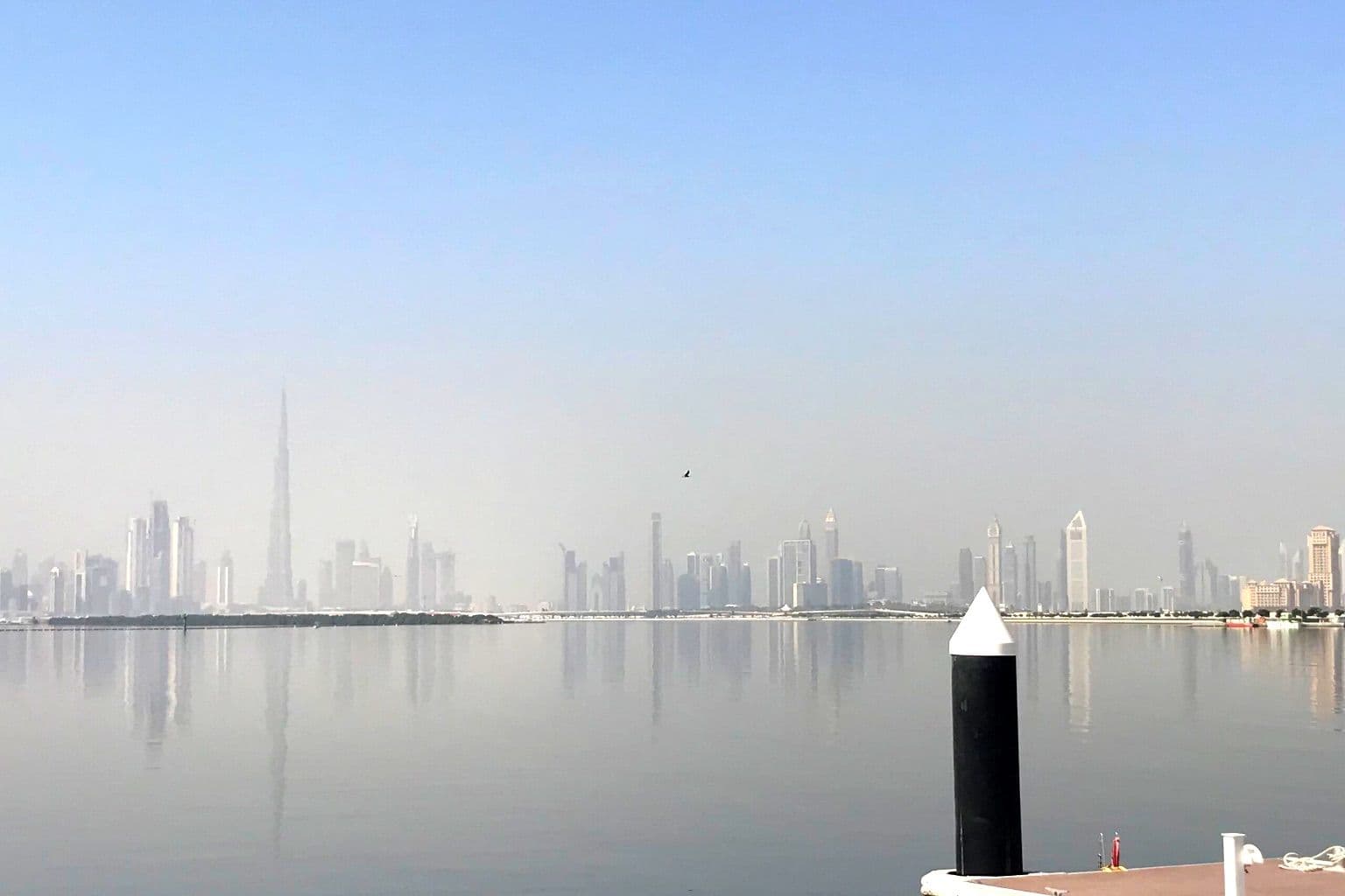 How to Choose a Network Switch for a Dubai Office