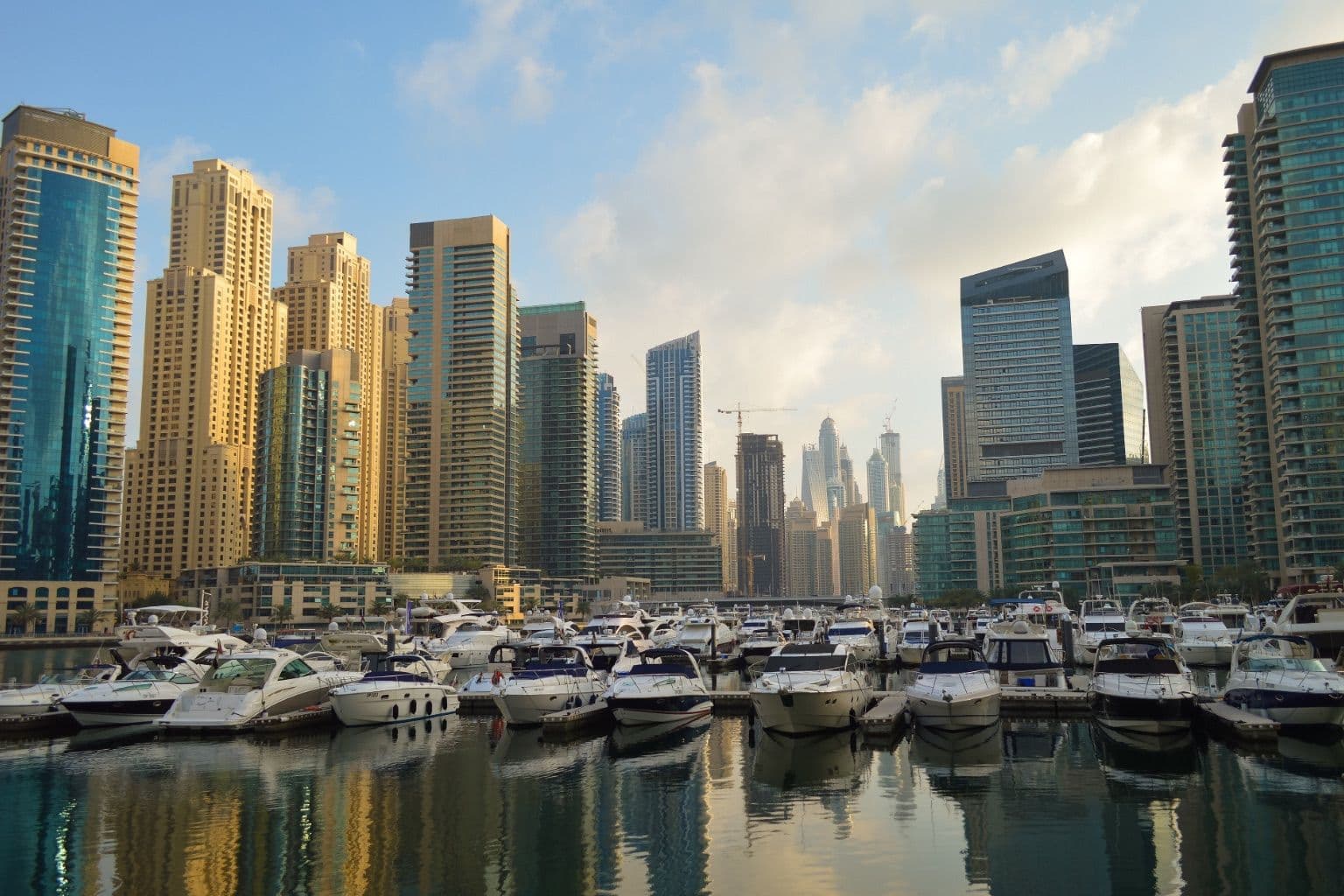 HP World Near Me in Dubai: Retail Store or Business Supplier?